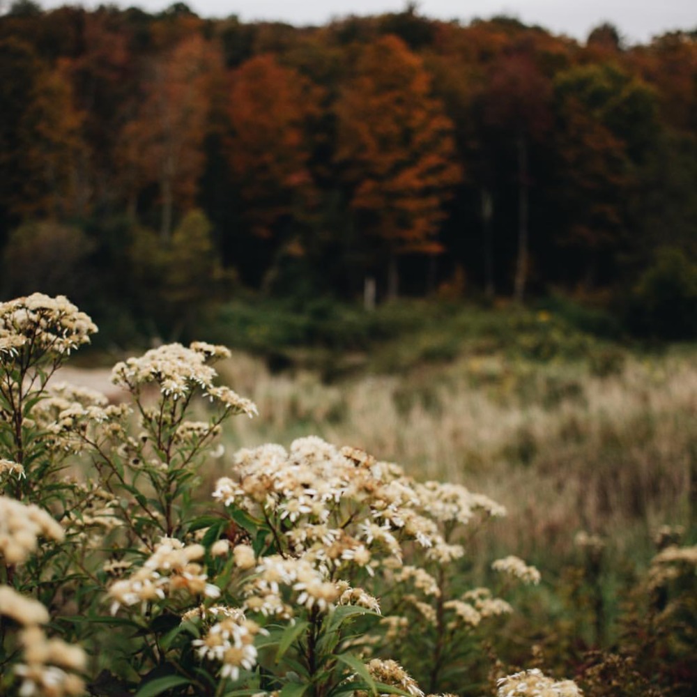 Meet your Posher, We_to_you